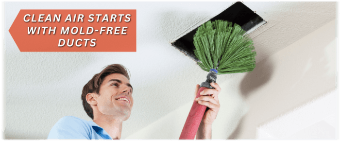 Air Duct Mold Removal in Woodridge IL