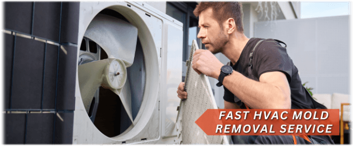HVAC Mold Removal Woodridge IL